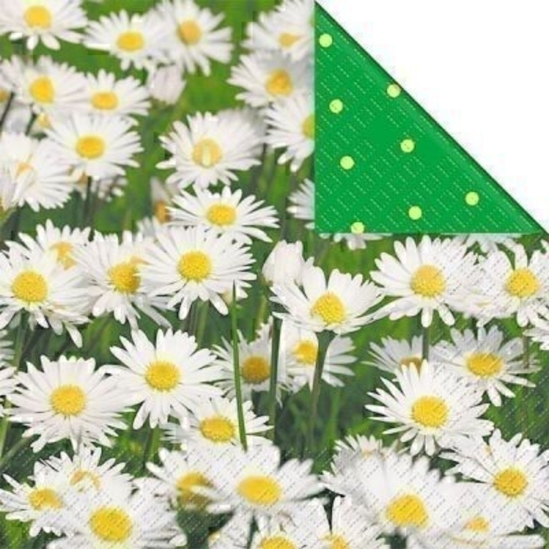 White Daisy Design with a green and yellow polka dot reverse Ena Paper Napkins by Stewo. 20 napkins in a pack. 3-ply. 33x33cm. Environmentally Friendly cellulose printed with water-based inks.